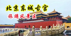 插入黑丝美女的粉逼中国北京-东城古宫旅游风景区